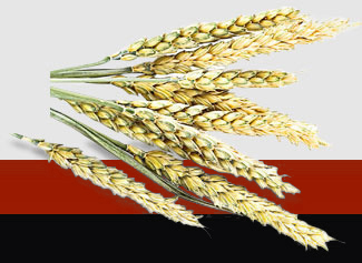 Z6·尊龙凯时(中国区)人生就是搏!