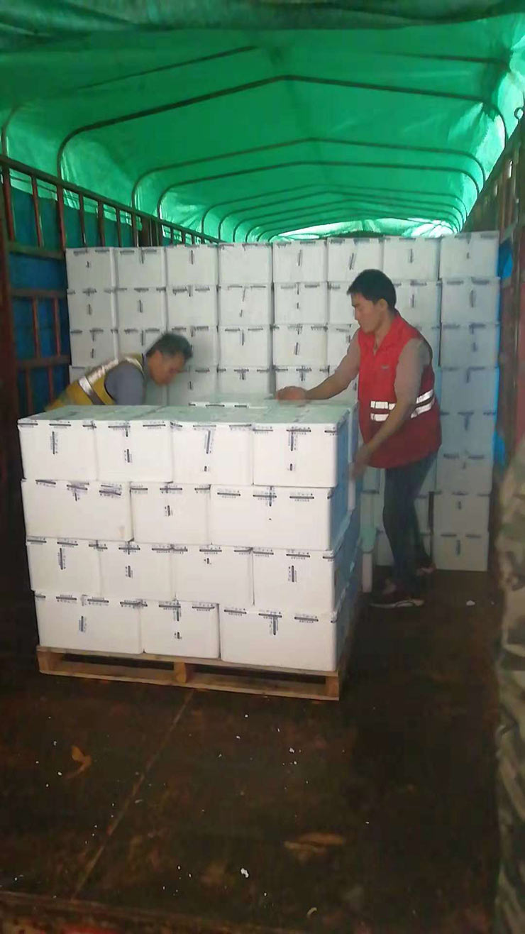 Z6·尊龙凯时(中国区)人生就是搏!