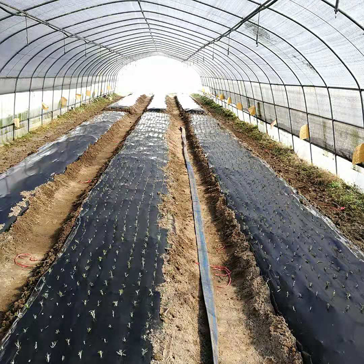 Z6·尊龙凯时(中国区)人生就是搏!