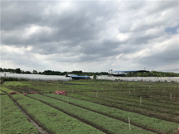 Z6·尊龙凯时(中国区)人生就是搏!