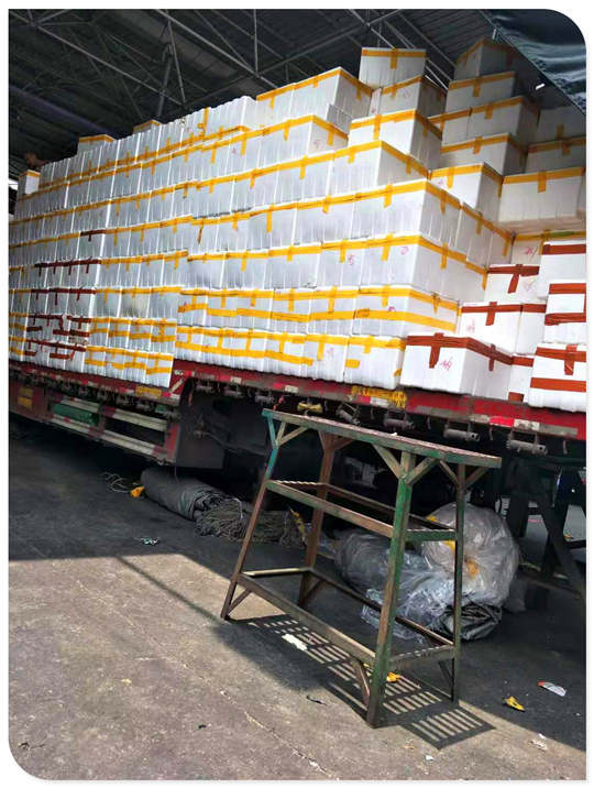 Z6·尊龙凯时(中国区)人生就是搏!