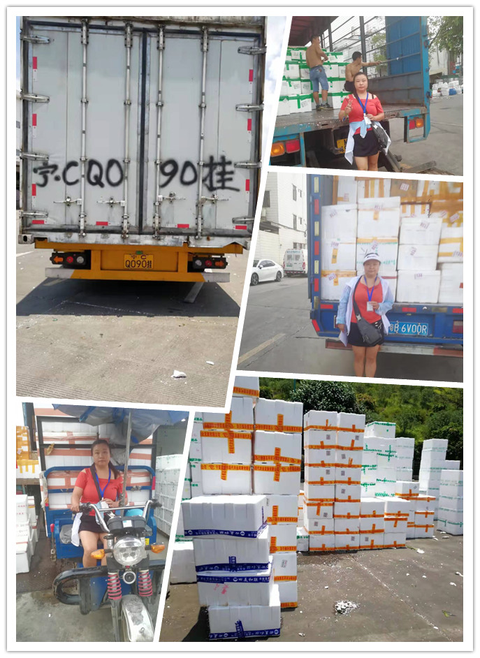 Z6·尊龙凯时(中国区)人生就是搏!