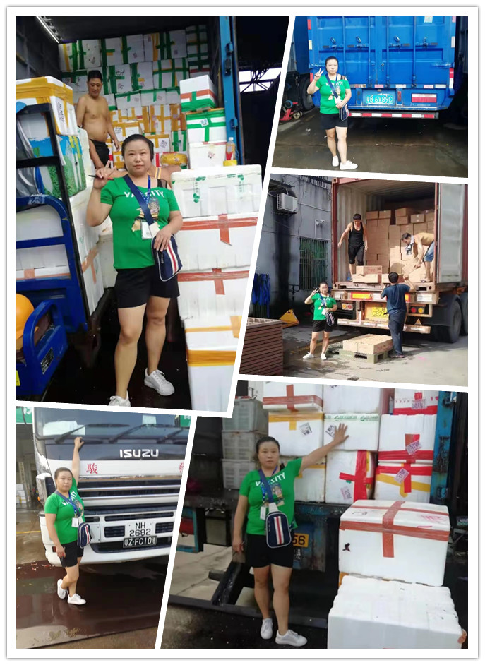 Z6·尊龙凯时(中国区)人生就是搏!