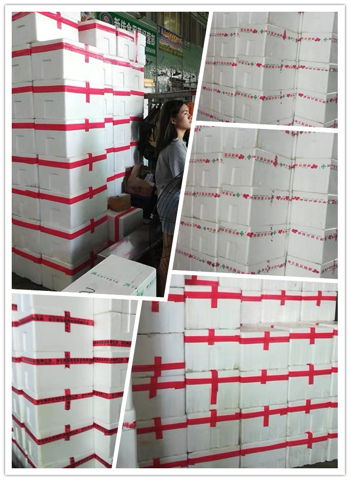 Z6·尊龙凯时(中国区)人生就是搏!