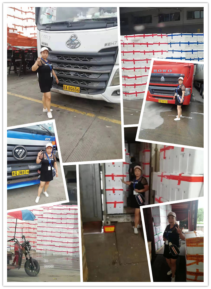 Z6·尊龙凯时(中国区)人生就是搏!