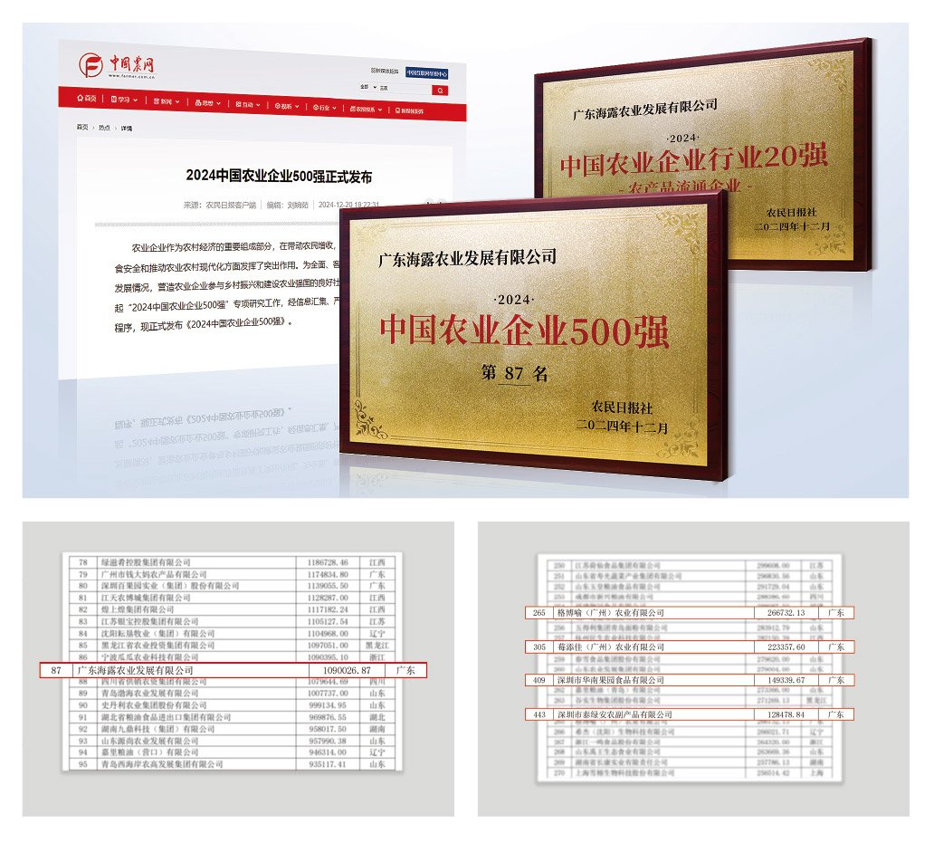 1-2412240943523B Z6·尊龙凯时(中国区)人生就是搏!