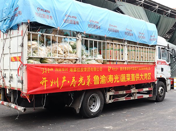 渠路赋能，集团助力沉庆开州蔬菜首发直供大湾区